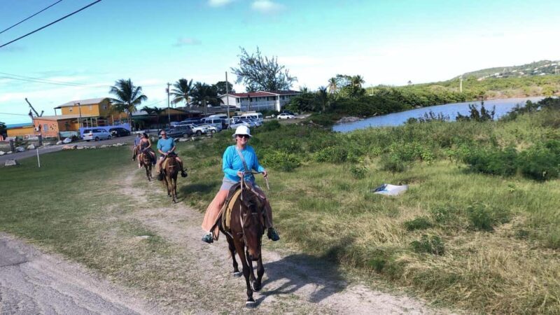 Antigua: Horseback Riding at Royalton or Dickenson Bay - Why This Tour Offers Good Value