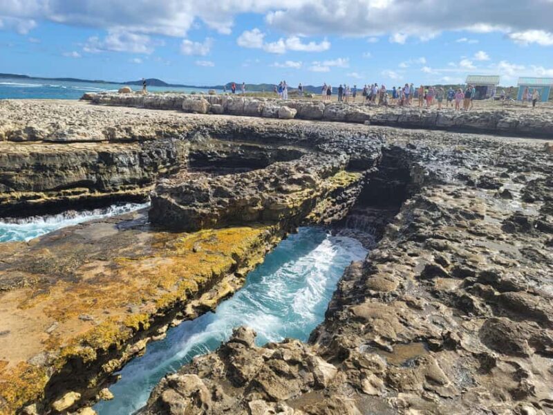 Antigua: Private Island Tour - What Do Travelers Love Most?