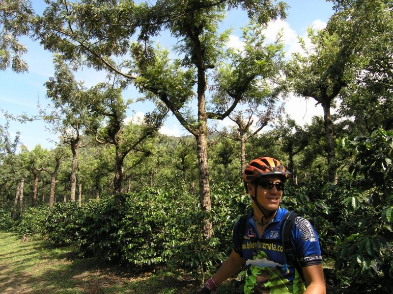Antigua Sip N Cycle Half-Day Bike Ride and Coffee Tour - Why Choose This Bike Tour