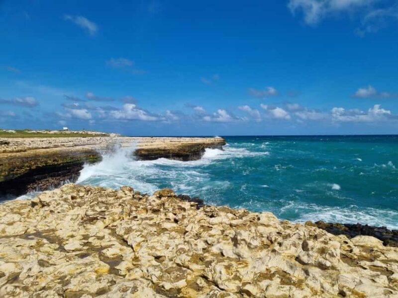 Antigua: Stingray City, Devils Bridge & Bettys Hope Tour - Practical Tips to Maximize Your Experience