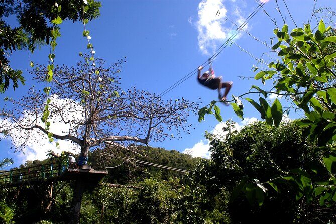 Antigua Zipline Canopy Adventure from St Johns - The Experience in Detail
