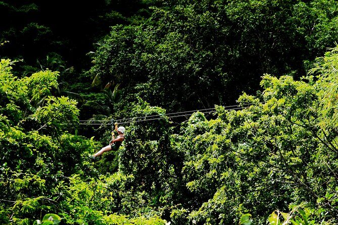 Antigua Zipline Canopy Adventure from St Johns - Who Will Love This Tour?