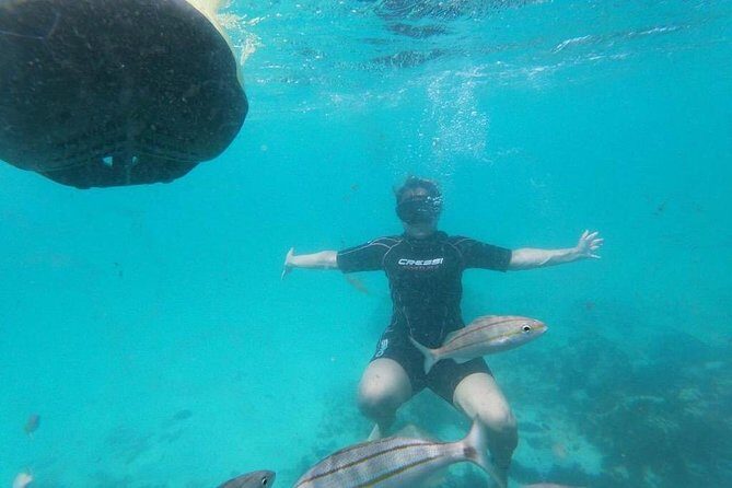 Antilla Shipwreck Seabob Tour - A Practical Look at the Antilla Shipwreck Seabob Tour