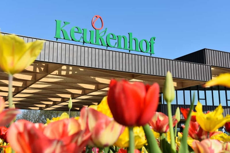 Antwerp: Full-day Holland Guided Keukenhof & Kinderdijk Tour - Key Points