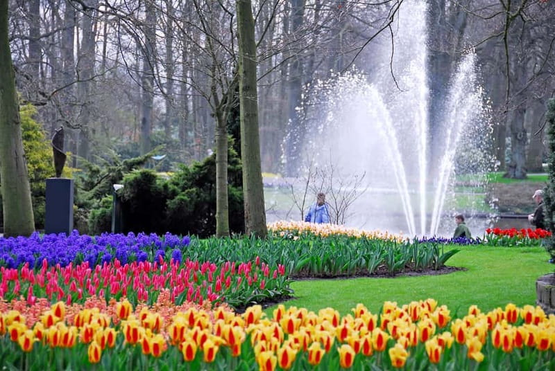 Antwerp: Full-day Holland Guided Keukenhof & Kinderdijk Tour - FAQs