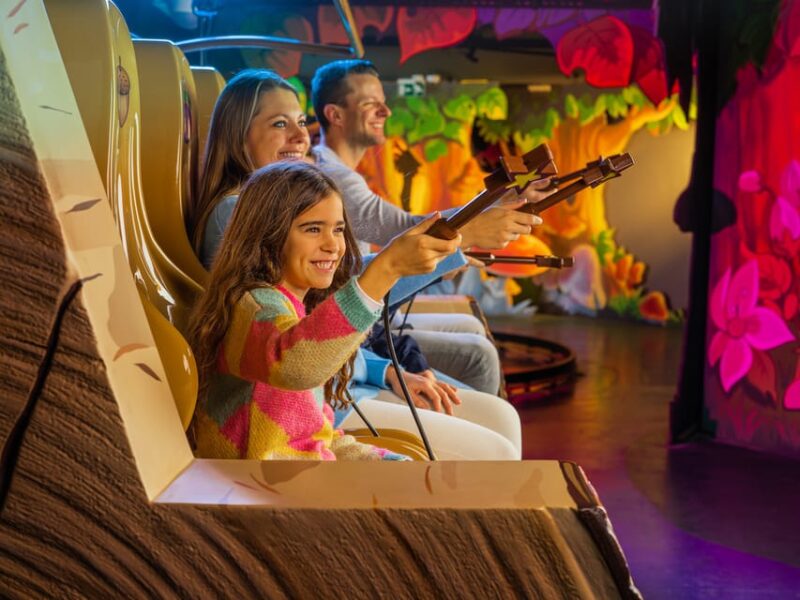 Antwerp: Plopsa Station Antwerp Theme Park Entrance Ticket - Visitor Requirements and Guidelines