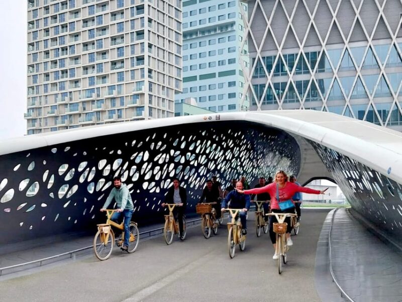 Antwerp: The Big 5 City Highlights by Wooden Bike - Local History and Culture