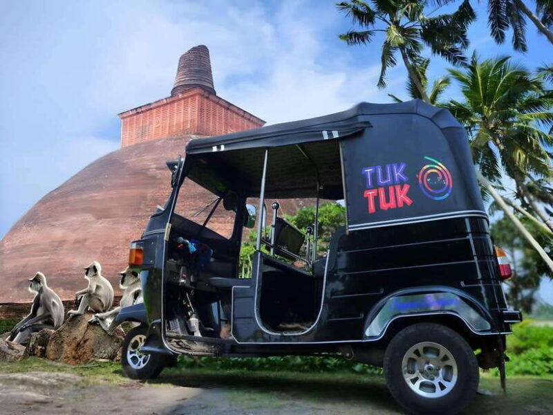 Anuradhapura : Ancient City TukTuk Tour - The Experience: A Closer Look at the Itinerary