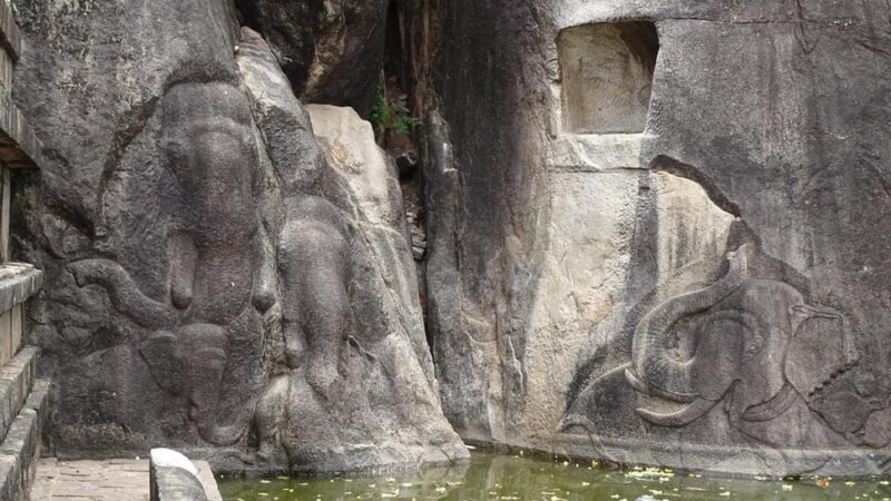 Anuradhapura & Aukana: All Inclusive Tour From Negombo - Inclusions