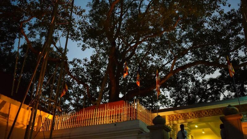 Anuradhapura & Aukana: All Inclusive Tour From Negombo - Important Information