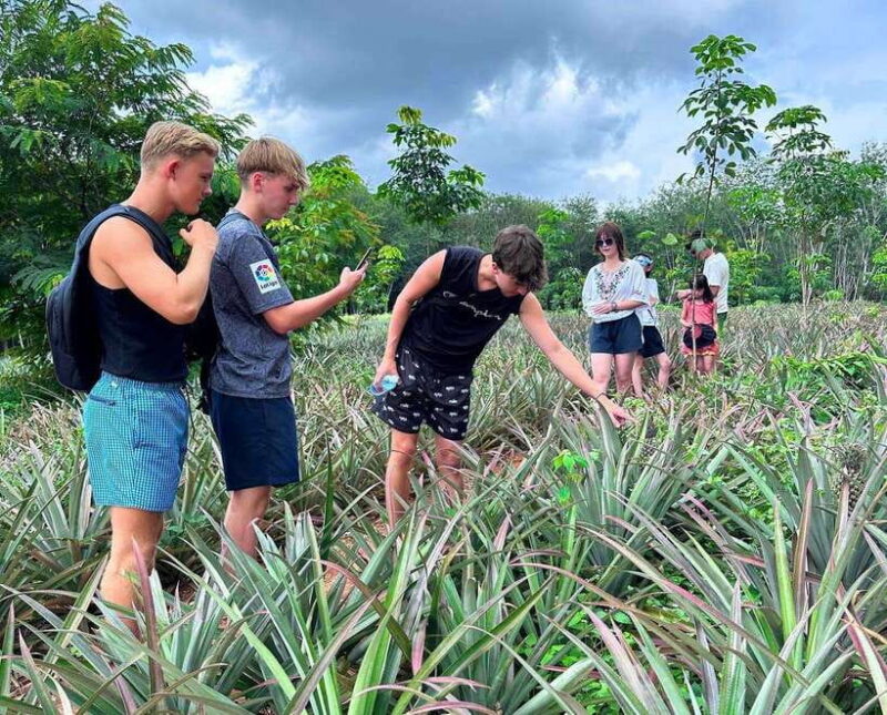 Ao Nang: Crystal Pool Kayaking, ATV, and Pineapple Farm Tour - Visiting the Pineapple Farm