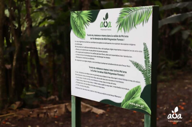 AOA Polynesian Forests - Educational Forest and Scavenger Hunt, Tahiti, West Coast - A Closer Look at the Experience