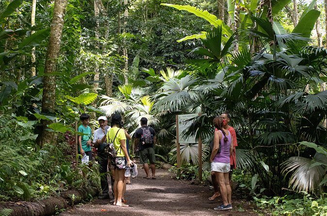 AOA Polynesian Forests - Educational Forest and Tahitian Trail Game DE - The Real Value: What Travelers Are Saying