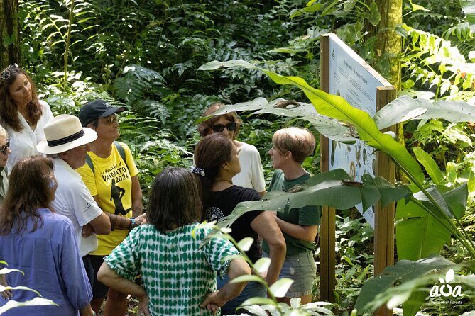 AOA Polynesian Forests - Educational Forest and Tahitian Trail Game DE - Practical Tips for Visitors