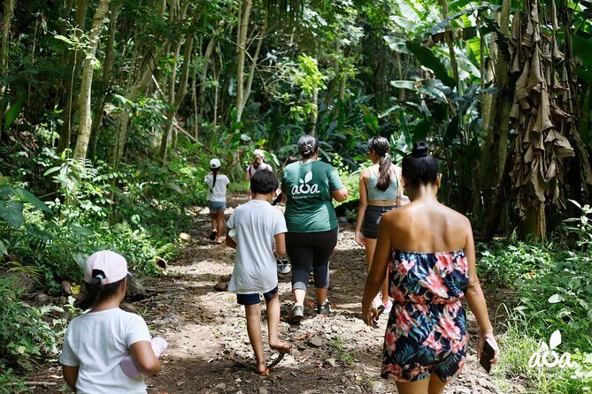 AOA Polynesian Forests - Educational Forest and Tahitian Trail Game DE - Final Thoughts