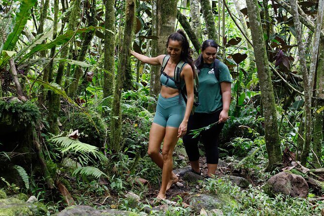 AOA Polynesian Forests - Hiking Sanctuary Biodiversity Tahiti - A Deep Dive into the Tahitian Forest Experience