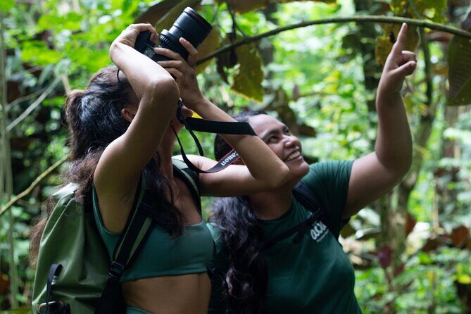 AOA Polynesian Forests - Tahiti Nature Immersion Day - An In-Depth Look at the Tahiti Nature Immersion Day