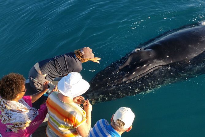 AOC Whale Watching from Broome - Key Points