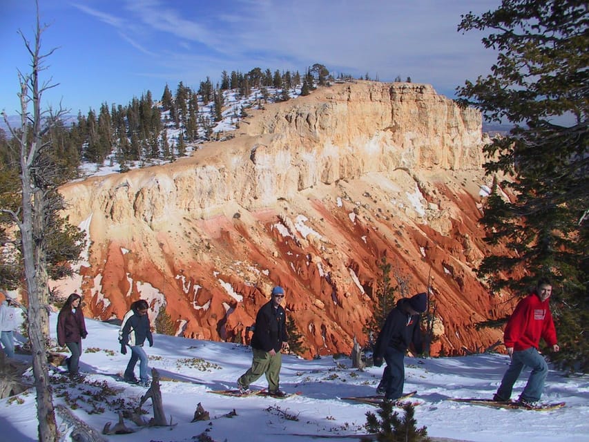 Aosta Valley: Snowshoe Lessons in Enchanted Winter Forests - Exploring the Enchanted Forests of Aosta Valley