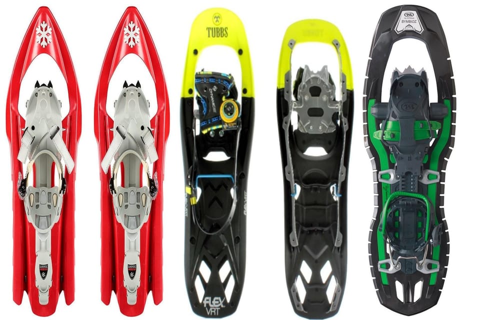 Aosta Valley: Snowshoe Lessons in Enchanted Winter Forests - The Landscape and Scenery