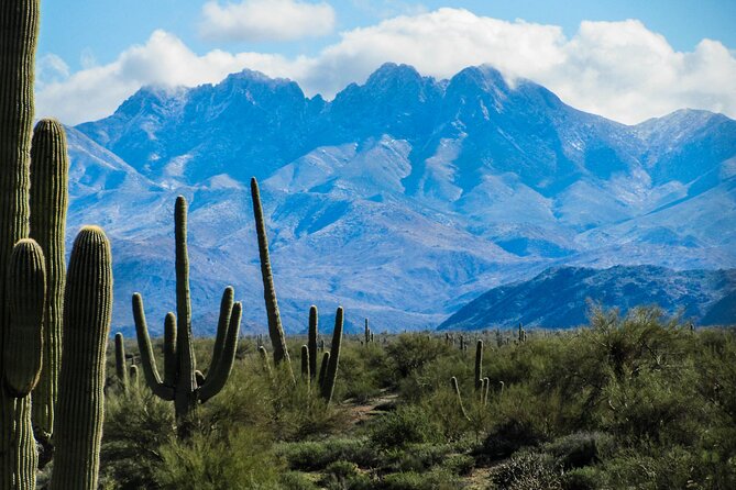 Apache Trail Private Half-Day Tour - Hassle-free Pickup and Transfers