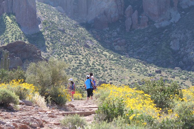 Apache Trail Private Half-Day Tour - Sum Up