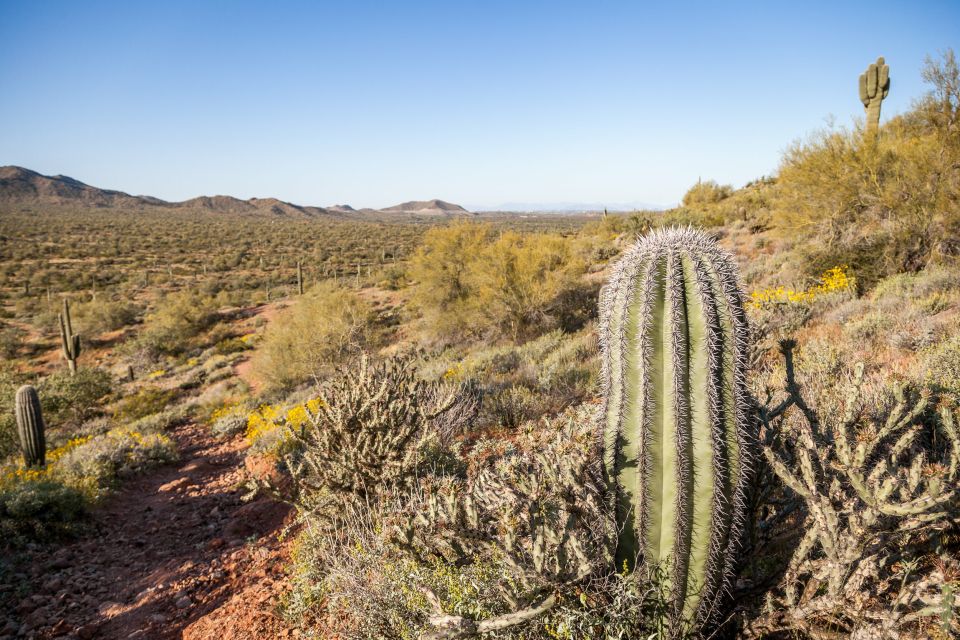 Apache Trail Tour and Lake Cruise: From Phoenix / Scottsdale - Activity Description