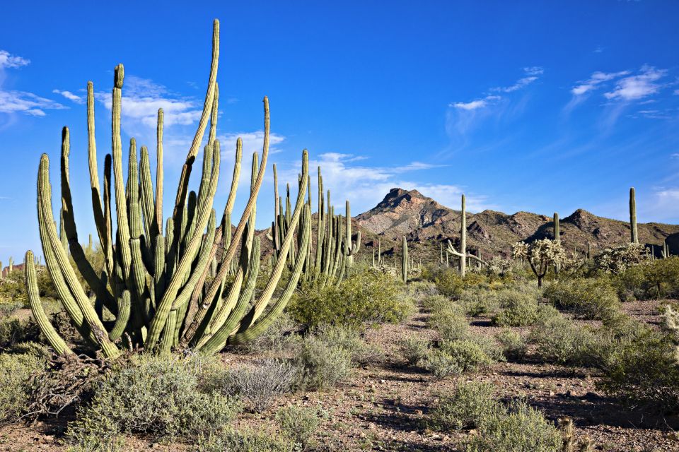 Apache Trail Tour and Lake Cruise: From Phoenix / Scottsdale - Directions