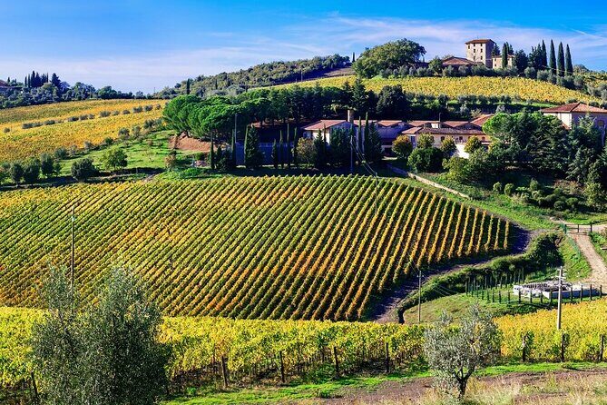 Ape Calessino Tour through Tuscan Landscapes - The Sum Up: Is It Worth It?