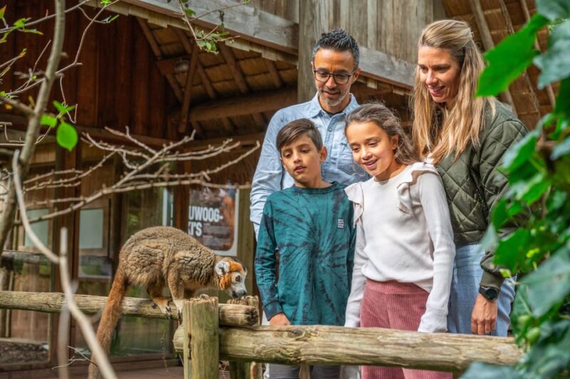 Apeldoorn: Apenheul Zoo Entry Ticket - Visitor Guidelines