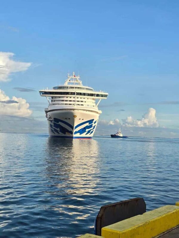 Apia Port: Cruise Guests Shore Excursion - Starting Point: Convenient Pickup Options