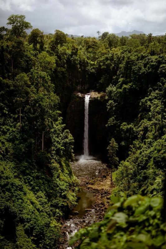 Apia Port: Cruise Guests Shore Excursion - Lalomanu Beach: Relaxation and Local Flavor