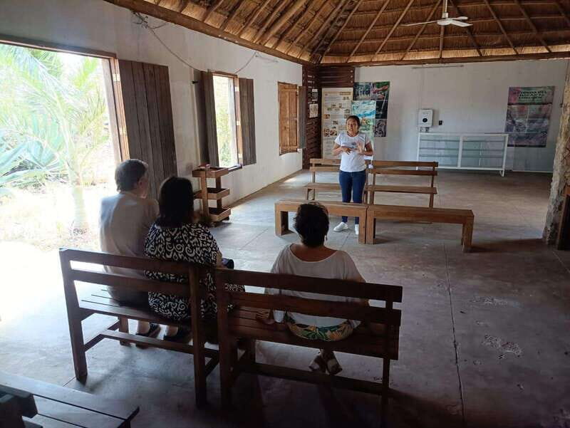 Apiary Tour (Bee tour) also Archeological site and salt Pond - Introduction