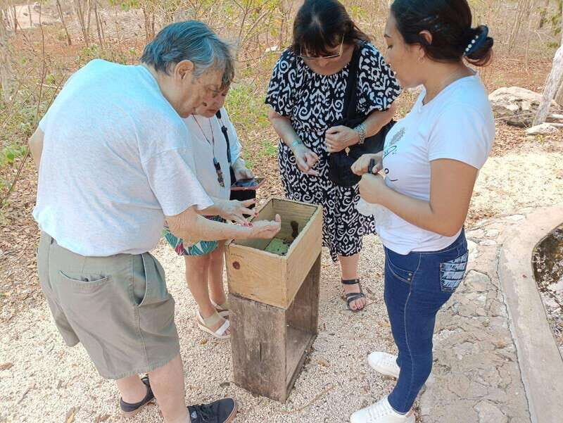 Apiary Tour (Bee tour) also Archeological site and salt Pond - The Practical Side: Transportation, Duration, and Value