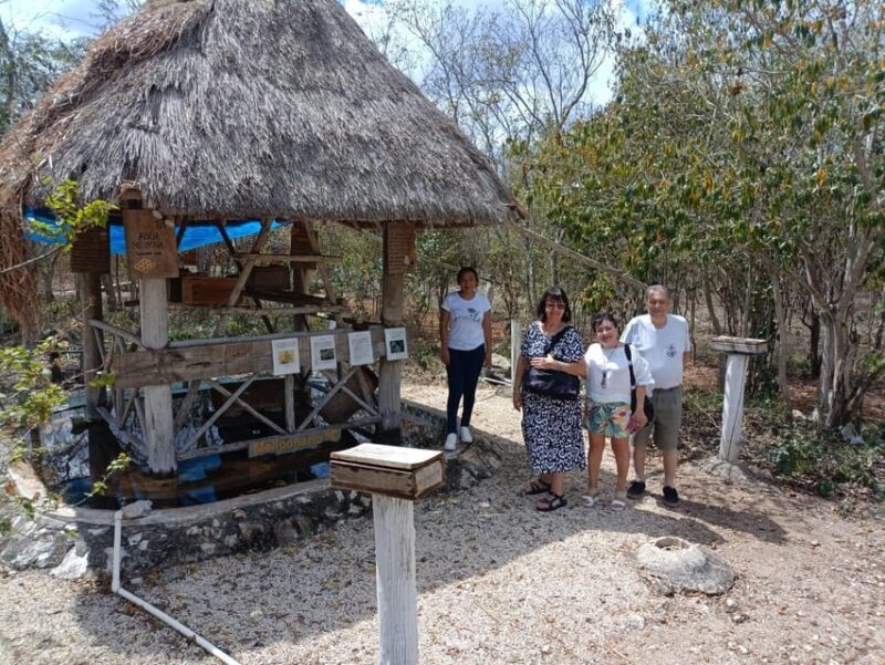 Apiary Tour (Bee tour) also Archeological site and salt Pond - The Sum Up