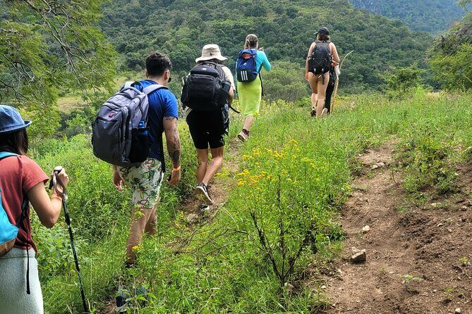 Apoala Magic Waterfalls Hike and Swim Adventure - Final Thoughts: Who Will Love This Experience?