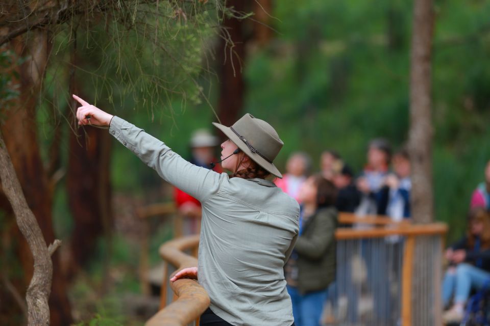 Apollo Bay: Dusk Discovery Great Ocean Road Wildlife Tour - Contact Information