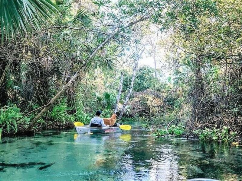 Apopka: Rock Springs Clear Kayak Tour - Key Points