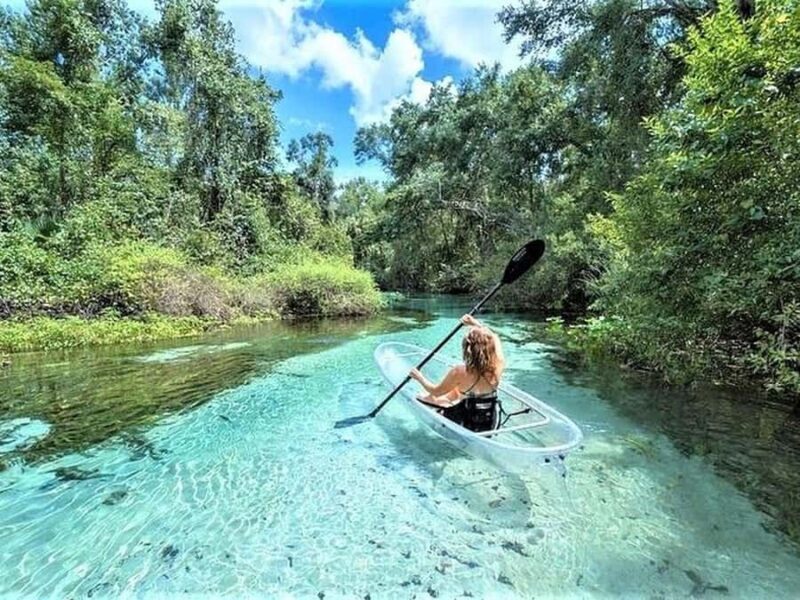 Apopka: Rock Springs Clear Kayak Tour - What Makes This Tour Worth Considering