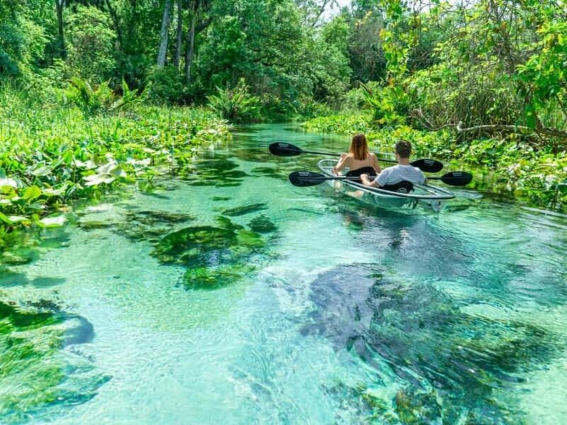 Apopka: Rock Springs Clear Kayak Tour - Why the Small Group and Guided Approach Matter