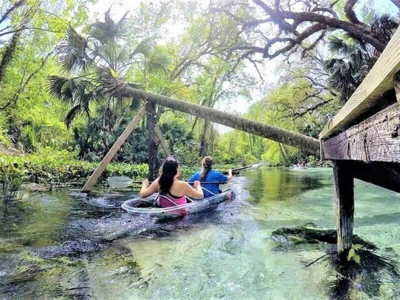 Apopka: Rock Springs Clear Kayak Tour - Practical Considerations