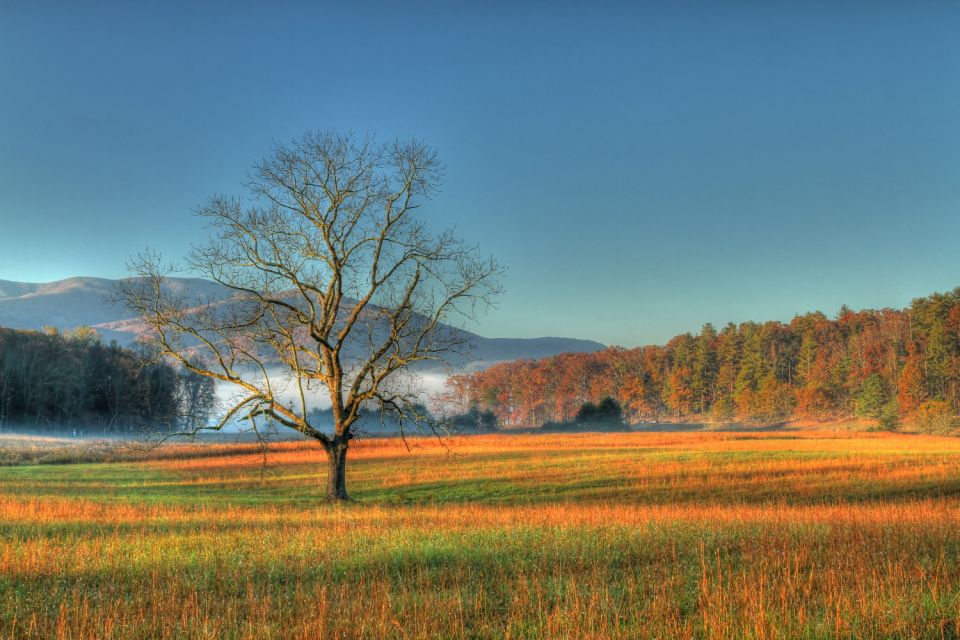 Appalachian Mountain Self-Guided Driving Audio Tour Bundle - Exploring Shenandoah National Park