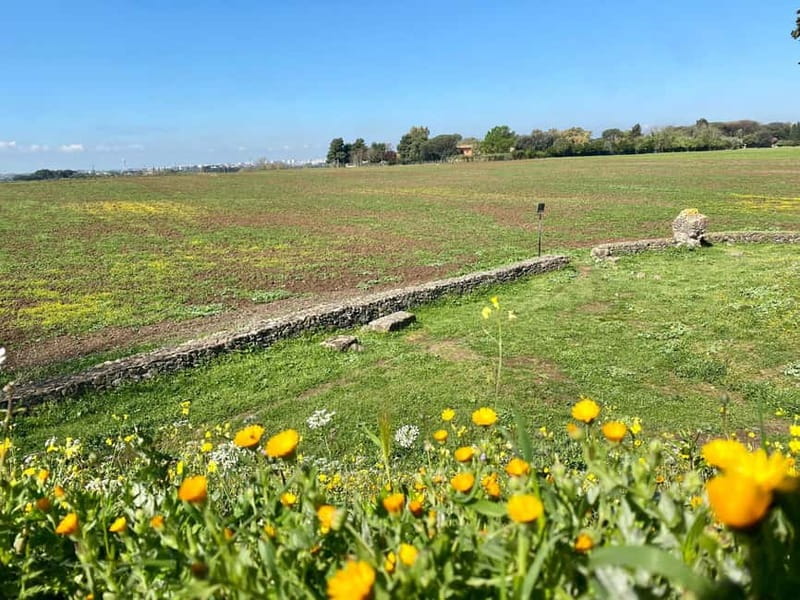 Appia Antica Ebike Tour > Castel Gandolfo & Lake (Top Landscape) - Final Thoughts