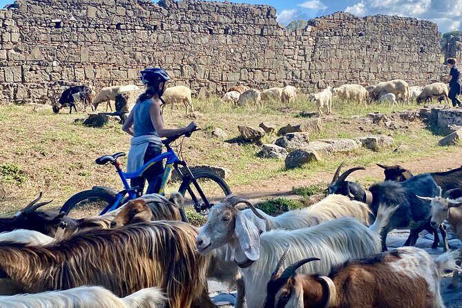 Appian Way on E-bike: Tour with Catacombs, Aqueducts and Food - FAQs