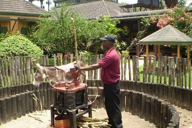 Appleton Estate Rum Tasting Experience - FAQ