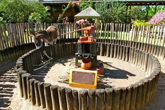 Appleton Estate Rum Tour and Tasting from Falmouth - A Detailed Look at the Appleton Estate Rum Tour