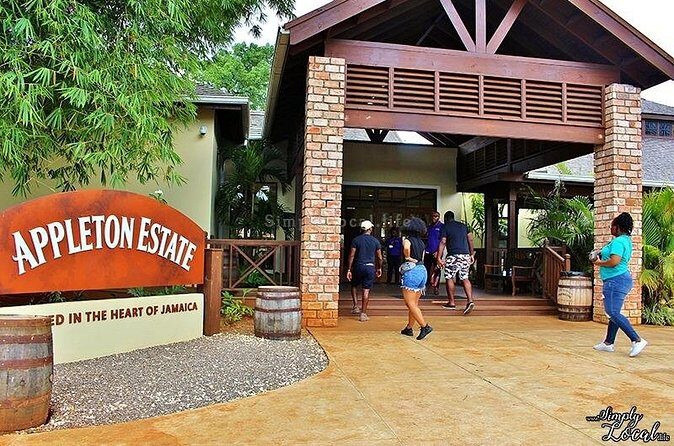 Appleton Estate, Ys Falls and Black River Safari Private Tour - Practical Tips for Future Visitors