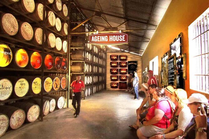 Appleton Estate, Ys Falls and Black River Safari Private Tour - The Sum Up: Who Will Love This Tour?