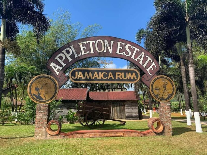 Appleton Rum Factory and Black River Safari Tour - Key Points