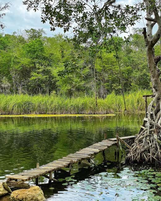 Appleton Rum Factory and Black River Safari Tour - Final Words